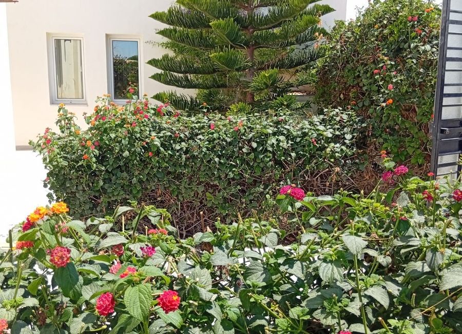 Photo 2 de villa nizar
