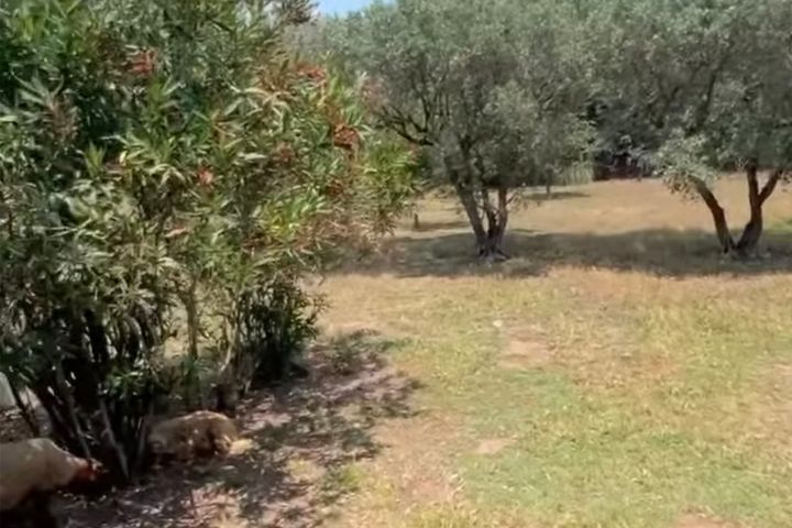 Beau rez de villa à 5 min des plages Frejus 