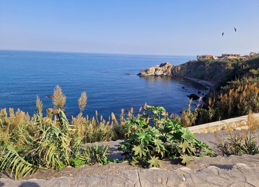 Photo 1 de Appartement au bord de mer Alger