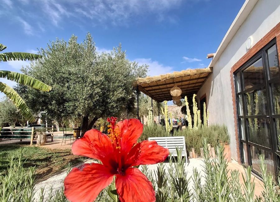 Photo 2 de lodge familial - Marrakech 