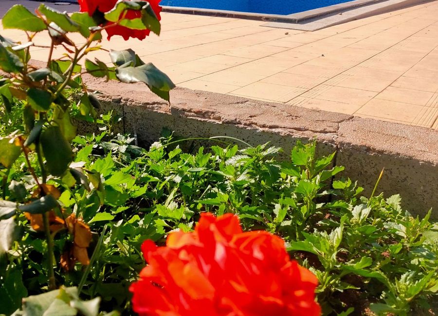 Photo 3 de maison avec piscine de 500m² près de la mer 