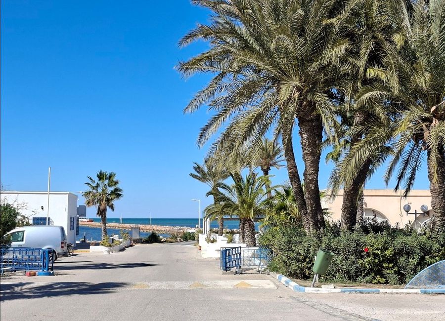 Photo 3 de VILLA LES OLIVIERS ÎLES KERKENNAH TUNISIE