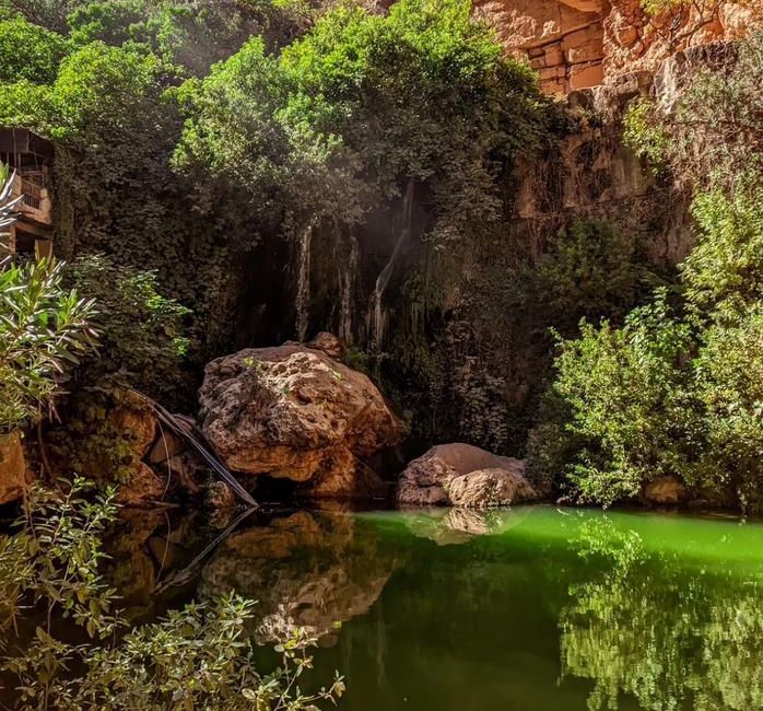 Photo 2 de Tlemcen villa avec piscine privée