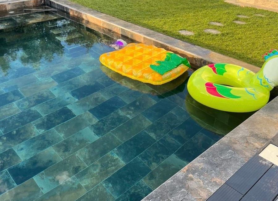 Photo 1 de Villa moderne avec piscine dans la petite camargue