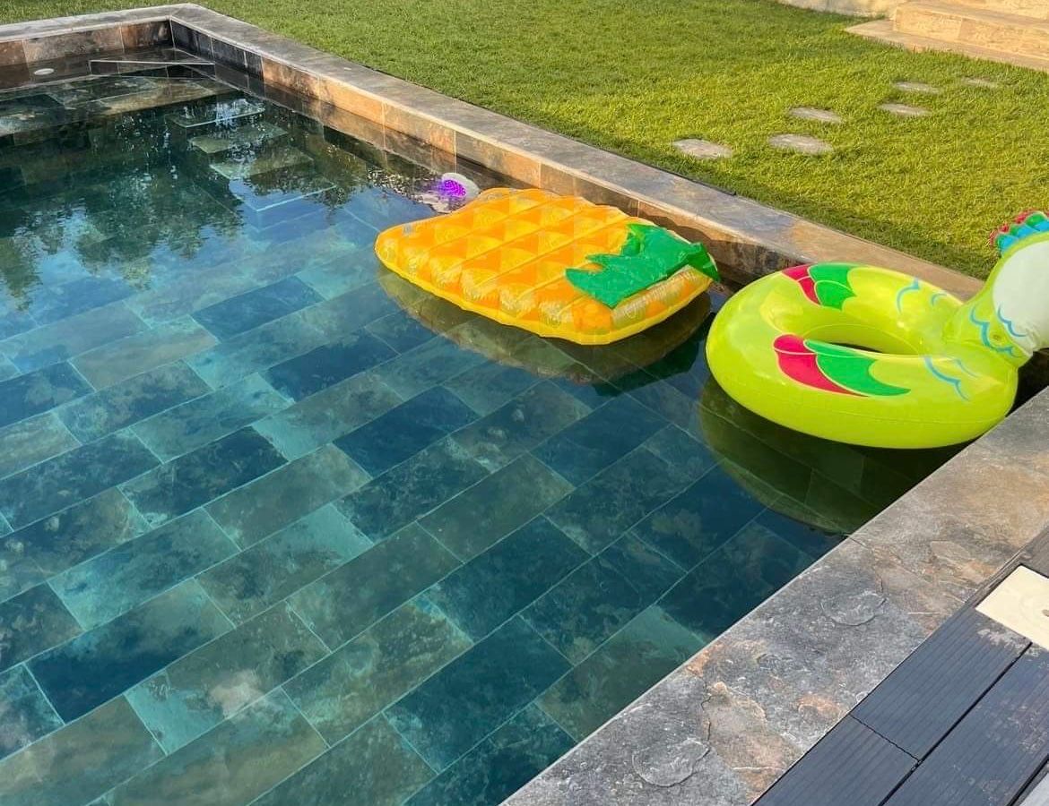 Photo de Villa moderne avec piscine dans la petite camargue