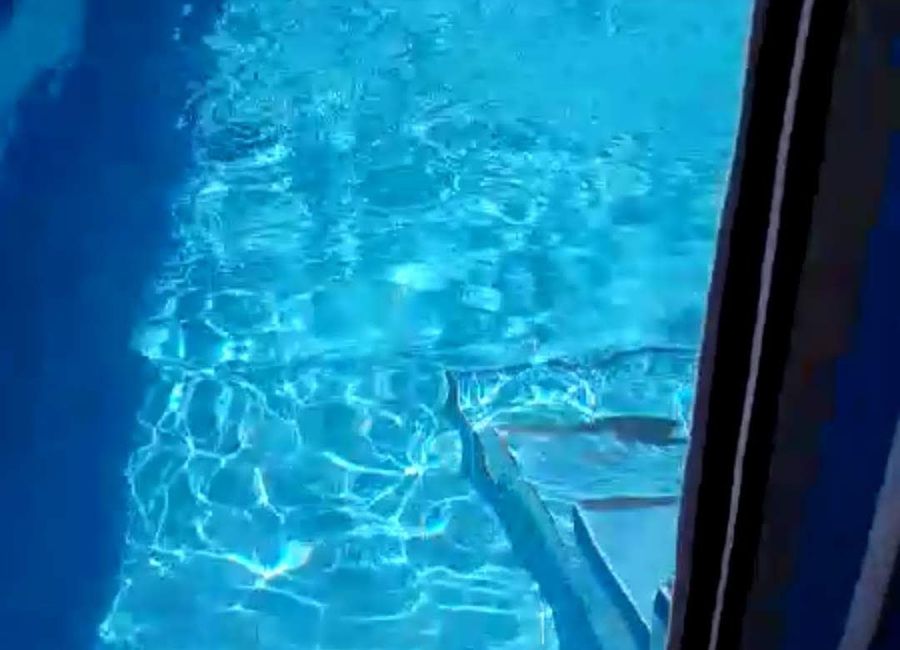 Photo 2 de jijel logement avec après midi de piscine 
