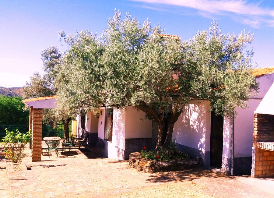 Photo 3 de Villa, style andalou, avec piscine privée à Cordoue, ensoleillée et pas de vis à vis