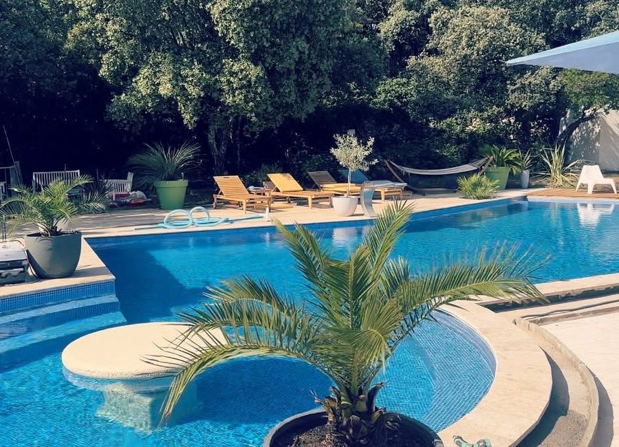 Photo 3 de clématites Nîmes