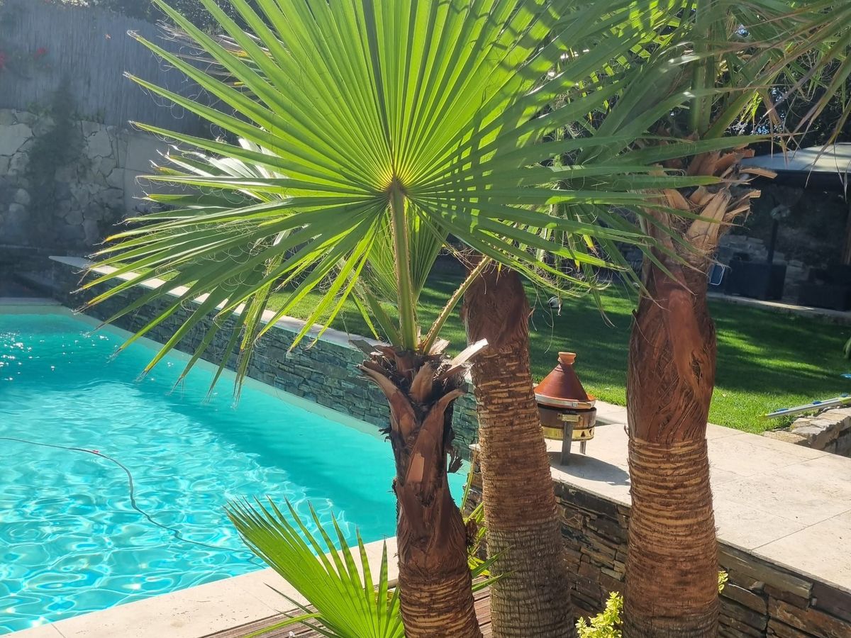 Photo de villa Jacuzzi